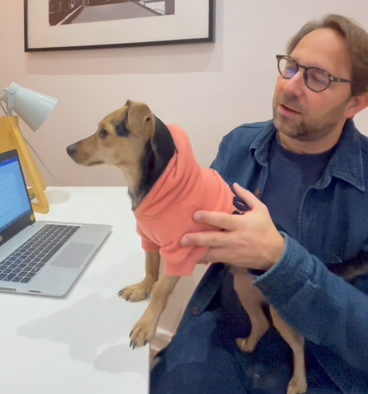 Témoignage chien au bureau